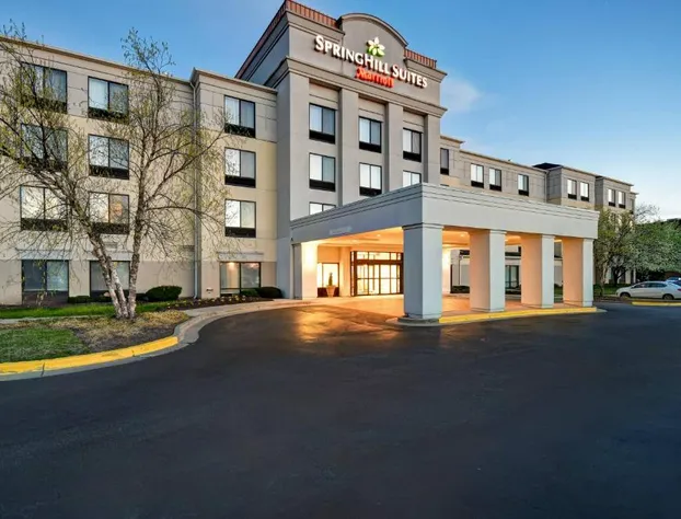 SpringHill Suites by Marriott Baltimore BWI Airport hotel detail image 1