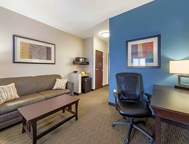 Comfort Inn & Suites Oklahoma City West - I-40 hotel detail image 4