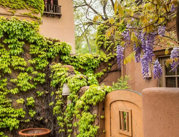 Inn on the Alameda hotel detail image 4