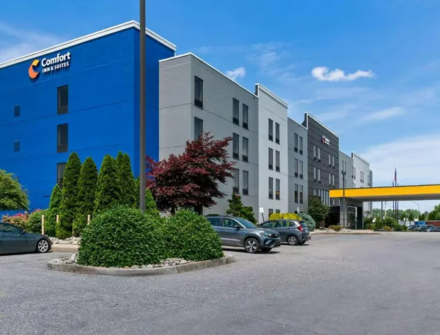 Comfort Inn & Suites hotel detail image 3