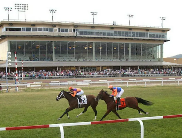 Holiday Inn Express Harrisburg I-81 – Hershey by IHG hotel detail image 3