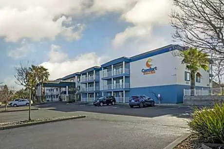 Comfort Suites Red Bluff near I-5 hotel detail image 4