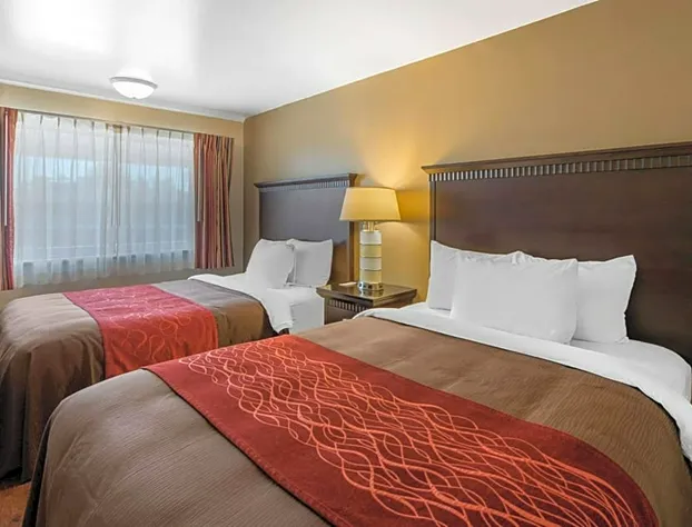 Abode hotel detail image 4