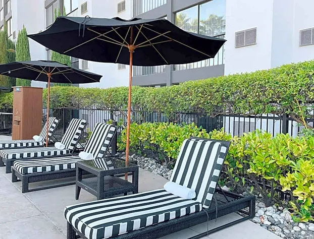 Four Points by Sheraton San Rafael Marin County hotel detail image 4