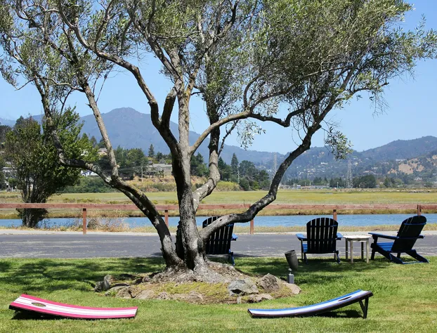 Holiday Inn Express Mill Valley San Francisco Area by IHG hotel detail image 4