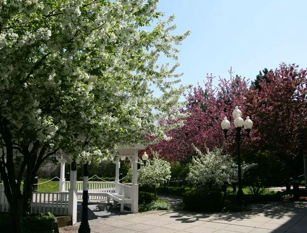 Hampton Inn Colchester hotel detail image 3