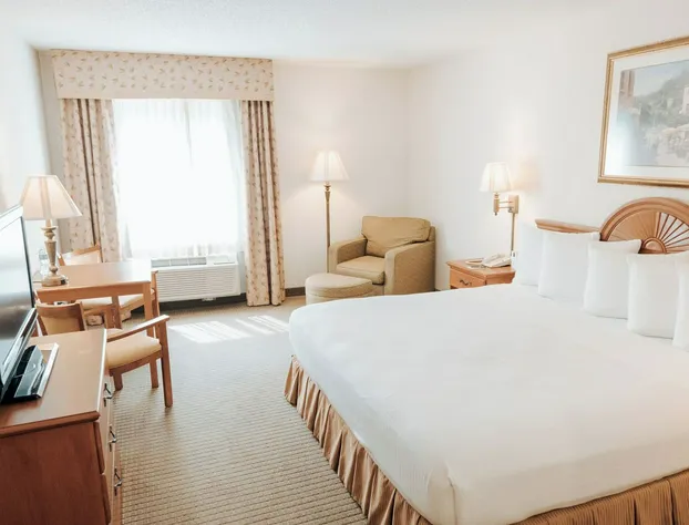 Ann Arbor Regent Hotel & Suites hotel detail image 4