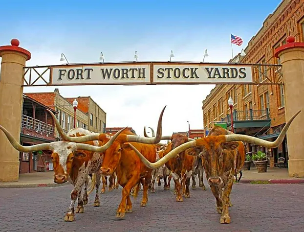 Radisson Hotel Fort Worth North-Fossil Creek hotel detail image 4