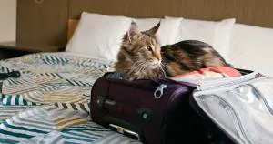 Motel 6 Fort Worth, TX – I-35 & I-20 hotel detail image 2