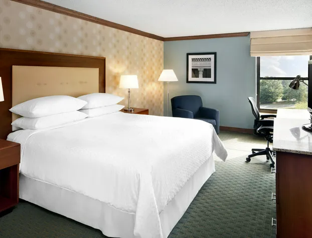 Four Points by Sheraton Richmond Airport hotel detail image 4