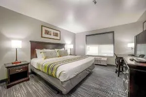 Country Inn & Suites by Radisson, Ontario at Ontario Mills, CA hotel detail image 3