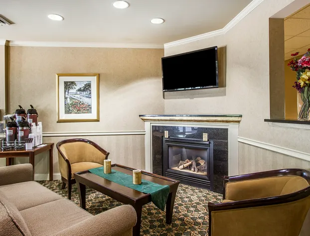 Comfort Suites hotel detail image 4