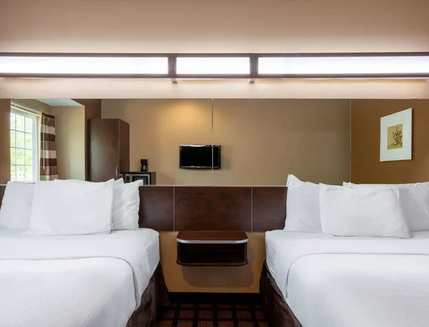 Microtel Inn & Suites by Wyndham Columbia/At Fort Jackson hotel detail image 4