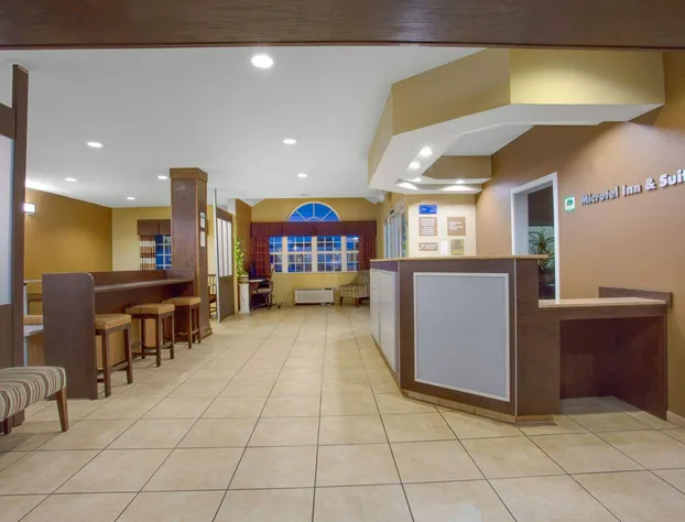 Microtel Inn & Suites by Wyndham Harrisonburg hotel detail image 1