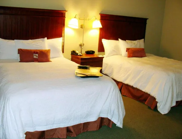 Hampton Inn Calera hotel detail image 3