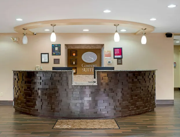 Comfort Suites Fultondale I-65 near I-22 hotel detail image 4