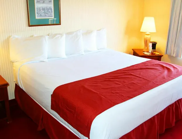 Hoover Dam Lodge hotel detail image 1