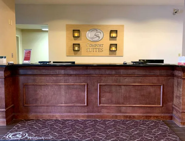 Comfort Suites Texas Ave. hotel detail image 4