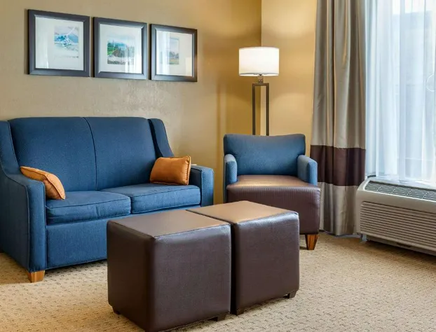 Comfort Suites Lancaster Amish Country hotel detail image 4