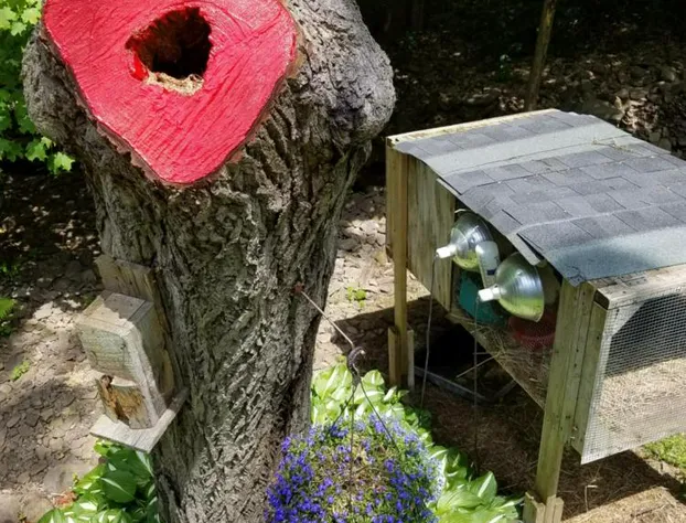 Kountry Living Bed and Breakfast hotel detail image 1