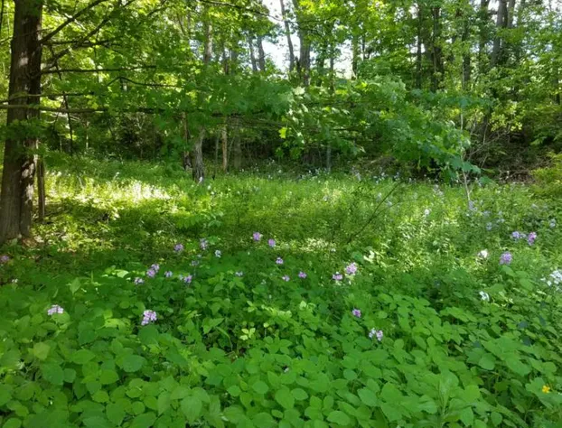 Kountry Living Bed and Breakfast hotel detail image 2