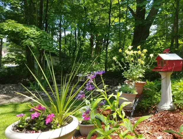 Kountry Living Bed and Breakfast hotel detail image 3