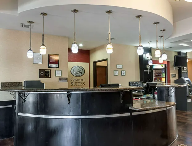 Comfort Suites Sulphur - Lake Charles hotel detail image 2