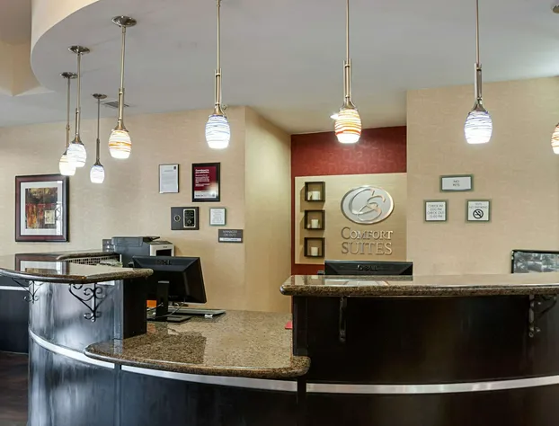 Comfort Suites Sulphur - Lake Charles hotel detail image 3