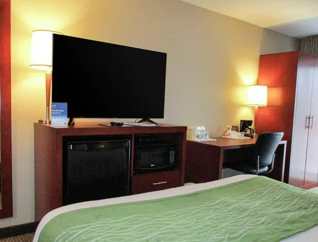 Comfort Inn Dartmouth hotel detail image 3