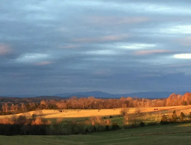 Round Hill Inn hotel detail image 2
