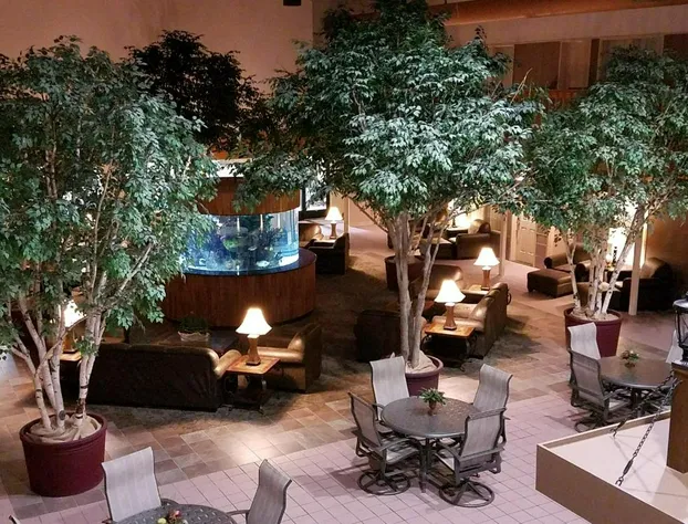 C'mon Inn Thief River Falls hotel detail image 1