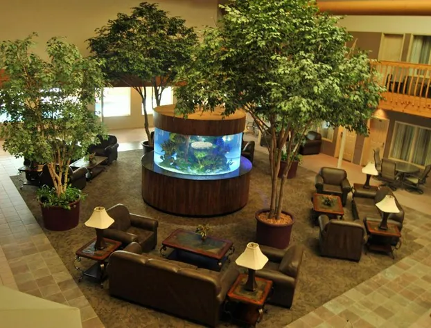 C'mon Inn Thief River Falls hotel detail image 2