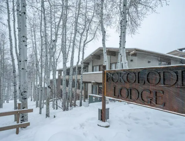 Pokolodi Lodge hotel detail image 4