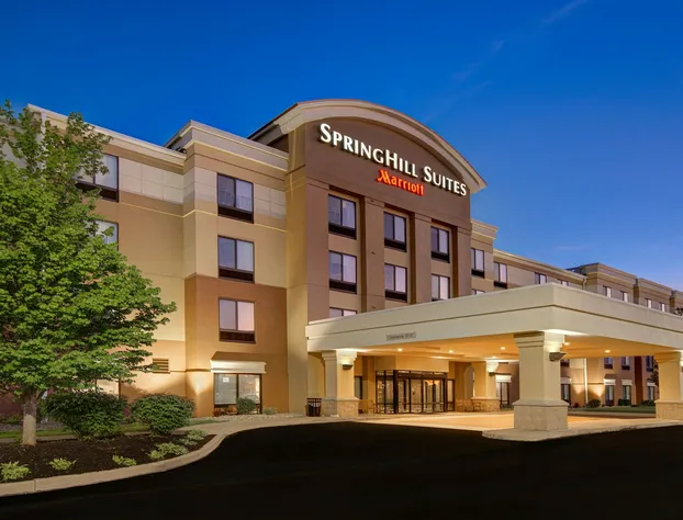 Springhill Suites by Marriott Erie hotel detail image 2