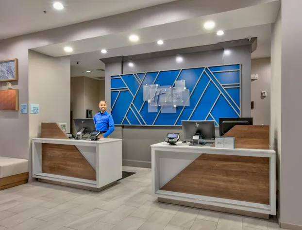 Holiday Inn Express & Suites North Dallas at Preston by IHG hotel detail image 2