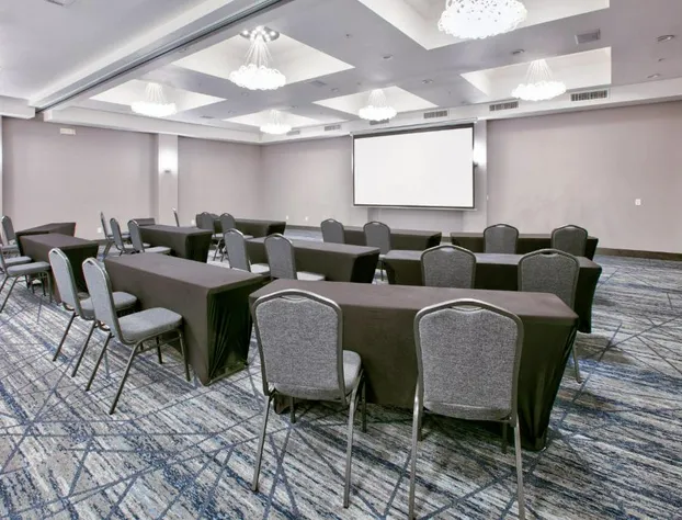 Holiday Inn Express & Suites North Dallas at Preston by IHG hotel detail image 2
