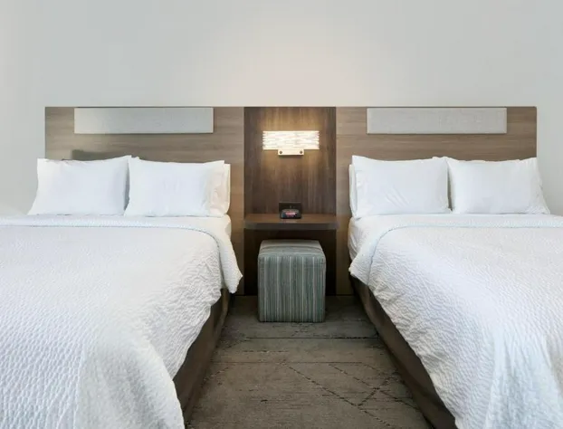 Holiday Inn Express & Suites North Dallas at Preston by IHG hotel detail image 4