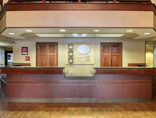 Comfort Suites Madison West - Middleton hotel detail image 2