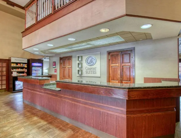 Comfort Suites Madison West - Middleton hotel detail image 3