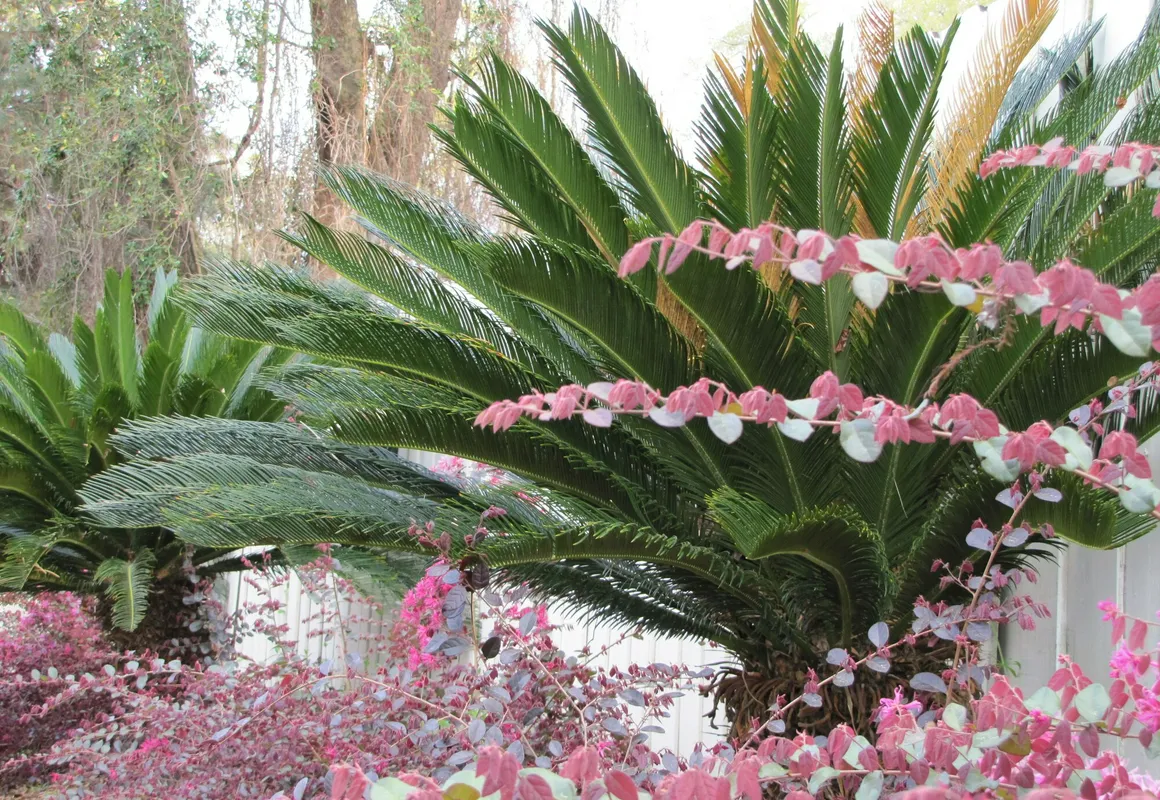 Howard Johnson by Wyndham Tallahassee hotel hero