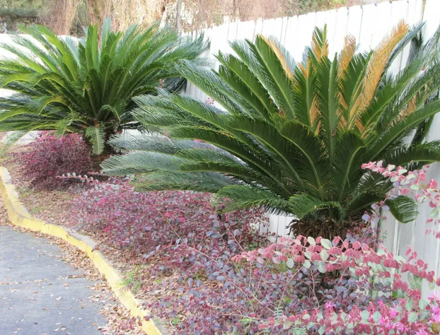 Howard Johnson by Wyndham Tallahassee hotel detail image 1