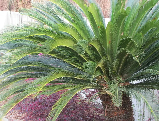 Howard Johnson by Wyndham Tallahassee hotel detail image 2