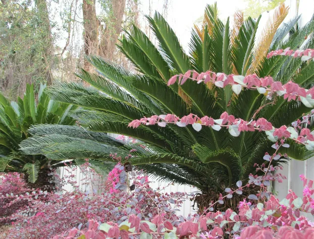 Howard Johnson by Wyndham Tallahassee hotel detail image 1