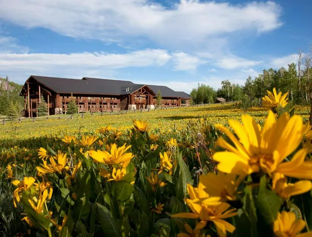 Daniels Summit Lodge hotel detail image 4