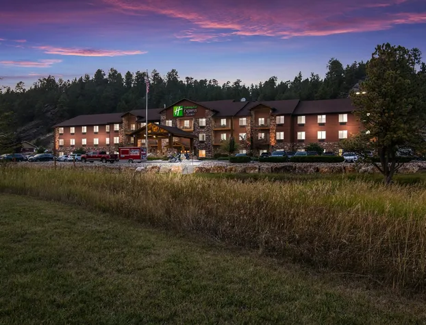 Holiday Inn Express Hotel & Suites Custer by IHG hotel detail image 2