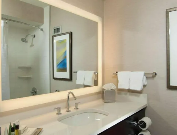 Hilton Albany hotel detail image 2