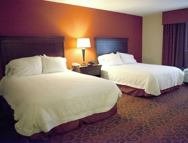 Hampton Inn Rochester Webster hotel detail image 4