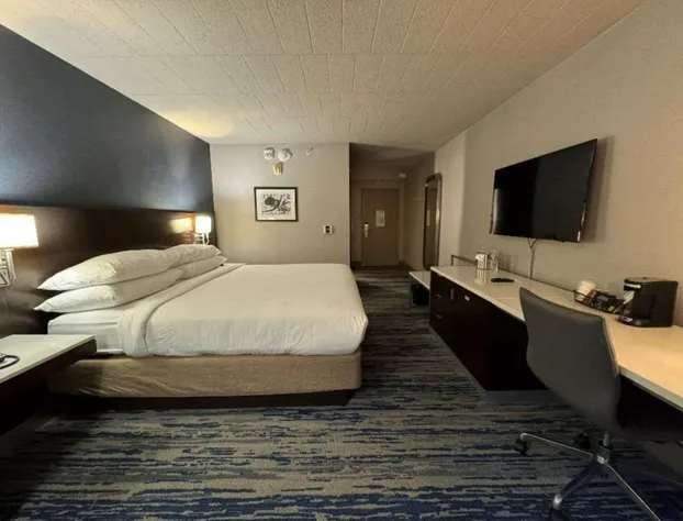 Skyline Hotel Detroit Airport, SureStay Collection by BW hotel detail image 4