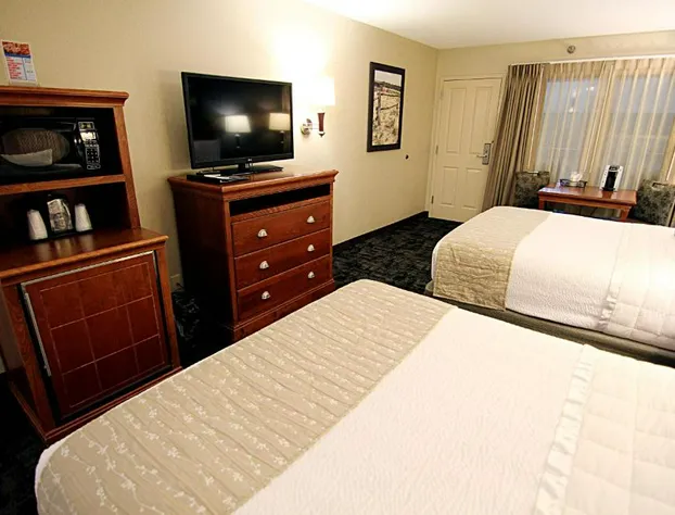 C'mon Inn Hotel & Suites hotel detail image 2