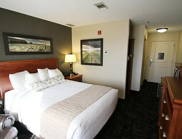 C'mon Inn Hotel & Suites hotel detail image 3